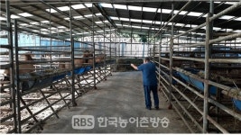 전북도내 126호, 2073두 등 모든 사육사슴 대상 구제역 백신 일제접종