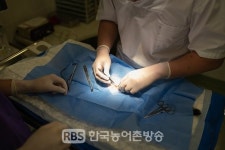 전북도, 동물병원 과잉 진료행위 등 불법진료 행위 단속 실시