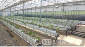 영농기반 부족 청년 남해에서 새싹농사꾼으로 거듭