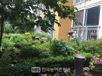[농진청] 사계절 화(花)사한 아파트 주민이 직접 꾸민다