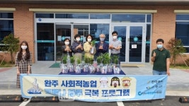 완주사회적경제네트워크 코로나블루 반려식물로 극복해요