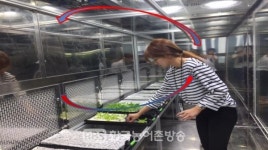 [농진청] 식물도 사람 행동에 반응한다