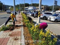 여수시 화양면, 국지도 22호선 황금사철나무 200그루 식재