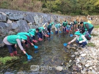 여수시 삼일동 새마을회, 상암천 살리자 미꾸라지 20kg 방류