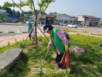 남원시, 내년도 노인일자리 60개 사업 추진