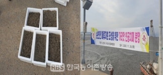 순천시, 가리맛조개 치패 살포