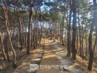 남원시, 덕음산 등산로 쾌적하고 안전한 산행 위해 등산로 정비