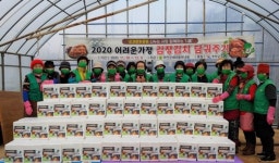 망운면, 사랑의 김치 나눔 행사 실시