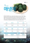 해수부, 1월의 수산물 - 방어와 매생이 선정