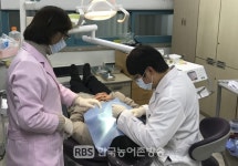 남원시보건소, 2021년 노인의치(틀니)보철사업 대상자 모집
