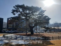 장수군, 작물보호제(농약) 티켓 신청