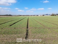 김제시, 국산밀 산업육성에 박차