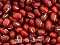 국립종자원 전북지원, 21년 콩·팥 농사준비 국가에서 검증한 우량 종자 보급종 신청 받아