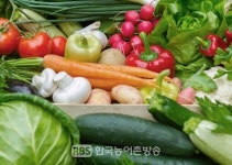 임실군, 임산부에 친환경 농산물 꾸러미 지원