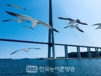 새만금과 연계한 새로운 관광상품·코스 발굴 등 전북 방문 유도를 위한 팸투어 추진