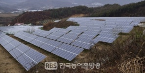 장수군, 태양광 난개발 방지 조례 가시적 효과