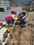 완주군 구이면 망산마을 마을 꽃길 조성
