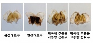 순창군, 식물 성장 촉진 미생물 발굴