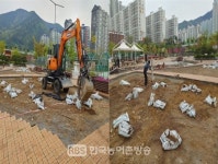 광양시, 마동체육공원 생활환경 숲 조성
