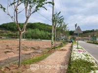 임실군, 치즈테마파크 명품 가로수길 새 단장