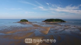 '한국의 갯벌' 유네스코 세계유산 됐다