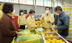 함안군 수출 효자품목 파프리카 하반기 첫 수출