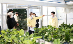 허성곤 김해시장 청년농업인 경영실습 임대농장 격려 방문
