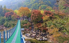 옥천 장령산자연휴양림 가을 단풍객 맞이 준비 한창