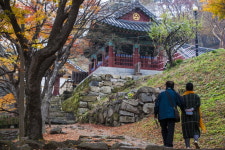 천년고찰 문수사와 천연기념물 단풍나무숲