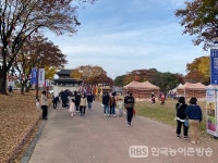 위드코로나 이후 첫 진주 개천예술제 즐거워요