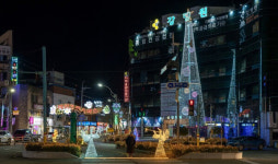 고성군 제5회 크리스마스트리문화 축제 개최