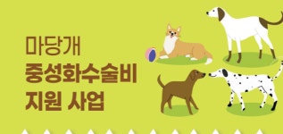 정읍시, 마당 개 중성화 수술비 최대 40만 원 지원