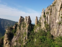 산림청, 국유림 명품 숲 5곳 선정...계룡산 편백 숲, 마실치유 숲 등