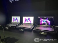 LG디스플레이·삼성디스플레이 등, K-Display 2022서 차세대 혁신 기술 선보여