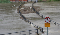 11일 충청권·전북에 최대 250㎜ 폭우…수도권도 비 소식