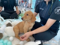 [현장] 대마소주 드실래요? NO! 관세청, 마약유혹 뿌리치기 마약-나뽀4 캠페인