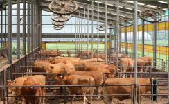 겨울철 한파 대비 축사 관리, 소·돼지·닭 등 가축별 달라