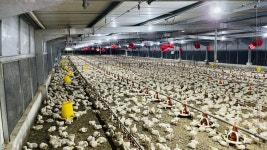 한국축산데이터 팜스플랜, 말레이시아 4차 산업 혁신 기술 IR4.0 선정