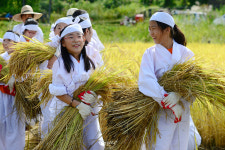경기도 도시농업 참여자 50만 이상…지속가능한 토양 탄소·공동체 활성화