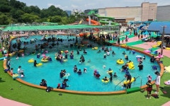 올여름 피서는 함평으로..엑스포공원 물놀이 천국