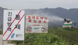 충남 청양 산란계 농장서 H5형 조류인플루엔자 항원 확인