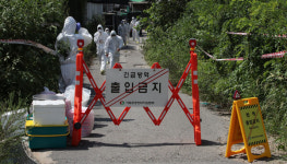 전남 영암 오리 농장서 H5형 조류인플루엔자 확인