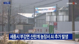 [B tv 세종뉴스]세종시 부강면 산란계 농장서 AI 추가 발생