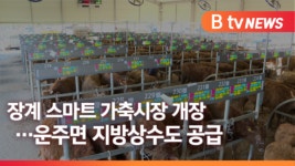 [Btv 전주뉴스] 스마트 가축시장 개장… 실시간으로 모바일 거래