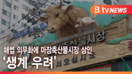 [B tv 서울뉴스] 해썹 의무화에 마장축산물시장 상인 생계 우려