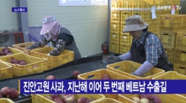 [B tv 전주뉴스] 진안고원 사과, 지난해 이어 두 번째 베트남 수출길