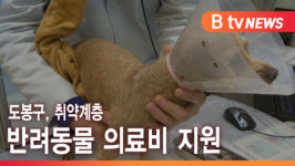 [B tv 서울뉴스] 도봉구, 취약계층 반려동물 의료비 지원