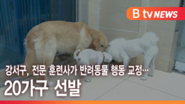 [B tv 서울뉴스] 강서구, 전문 훈련사가 반려동물 행동 교정…20가구 선발