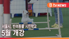 [B tv 서울뉴스] 서울시, 반려동물 시민학교 5월 개강