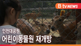 [B tv 인천뉴스] 인천대공원 어린이동물원 재개방
